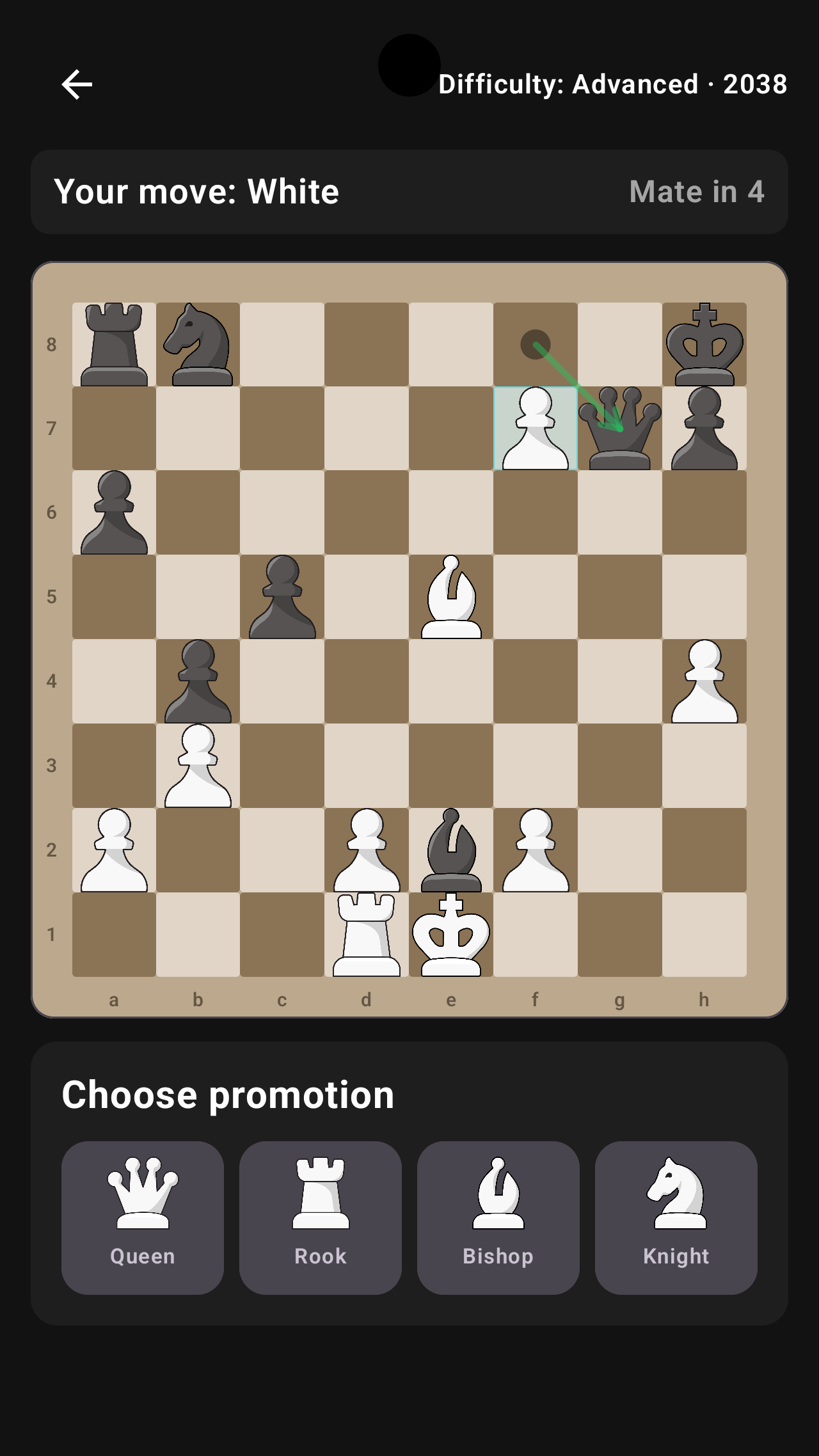 Chess Mate Puzzles gameplay screenshot 6